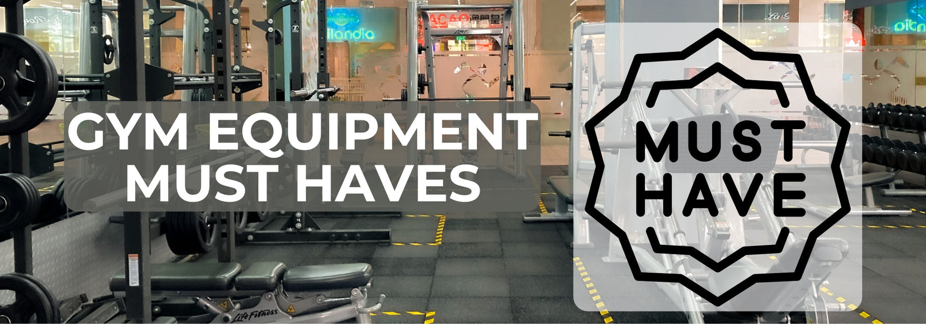 Gym Equipment Must-Haves for Every Type of Facility (Don’t Miss These Essentials!)