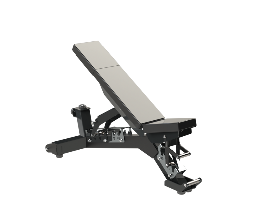 Defiant Strength Multi-Angle Adjustable Bench