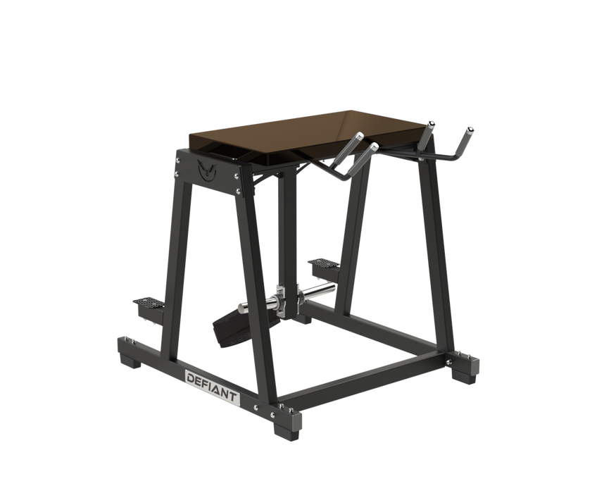 Defiant Strength Reverse Hyperextion