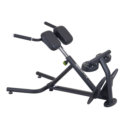 A993 Back Hyperextension SportsArt