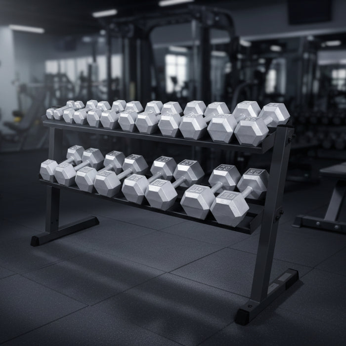 Body-Solid Dumbbell Rack GDR60 2-Tier with SDS550