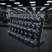 Body Solid GDR60B Pro Dumbbell Rack