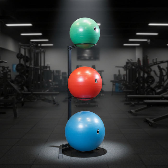 Body-Solid GSR10B Stability Ball Storage Rack With Balls