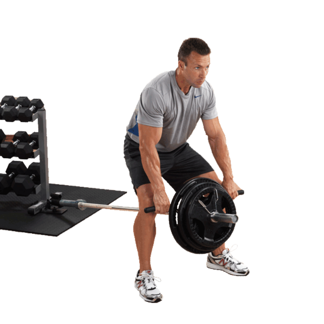 Body Solid SWT14 Standard Plate Tree — Select Fitness