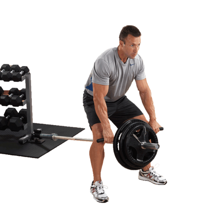 Body Solid SWT14 Standard Plate Tree