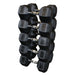 Body Solid Tools SDR Rubber Hex Dumbbells