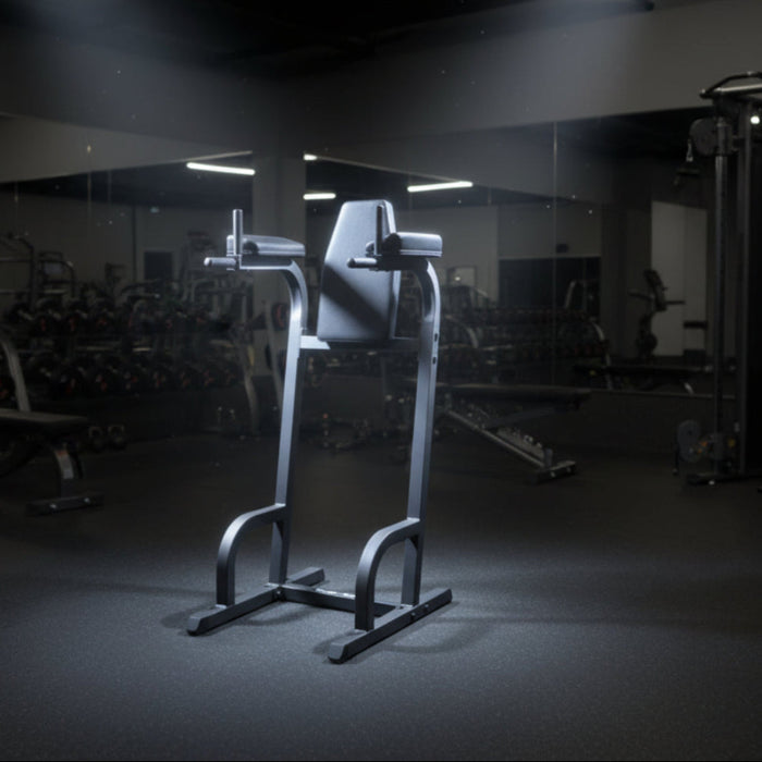 Body-Solid Vertical Knee Raise Dip Setup Wide Angle