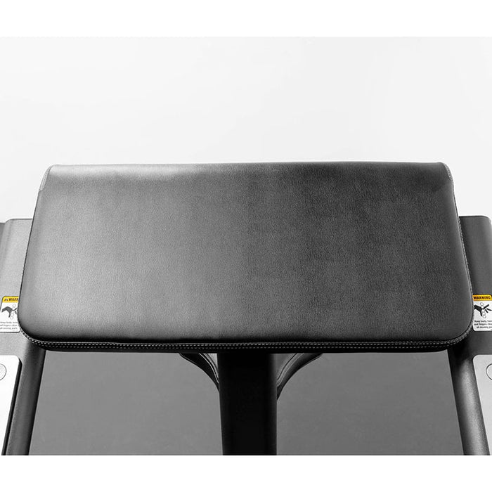 BodyKore Signature Preacher Curl Bench G257