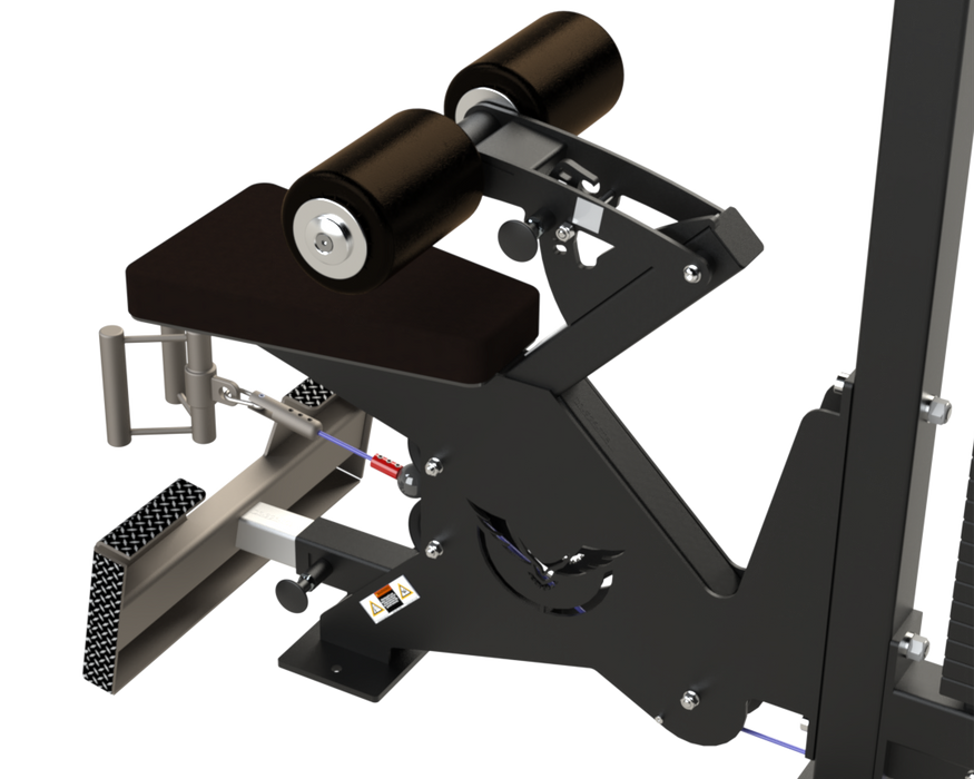 Defiant Strength Lat Pulldown/Low Row Combo