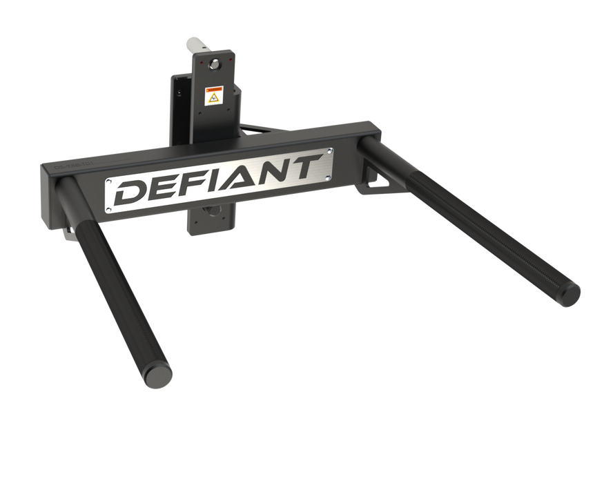 Defiant Strength Dip Station