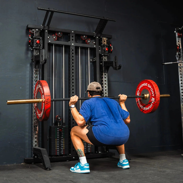 Fringe Sport Wall Mounted Slim Gym Functional Trainer