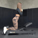 Nordic Curl Workout