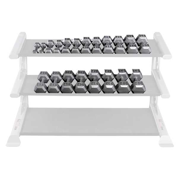 Professional Gym Setup Featuring Body Solid Hex Dumbbell Sets