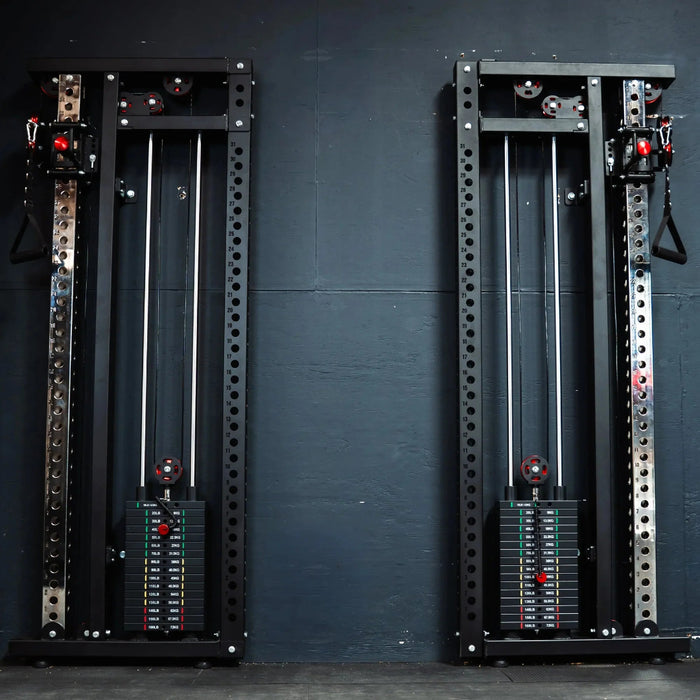 Slim Gym Wall Mounted Functional Trainer By Fringe Sport