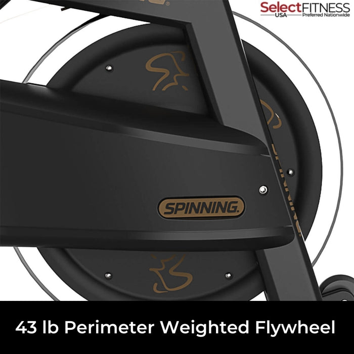 Spinner Pro Power 43-lb Perimeter Weighted Flywheel