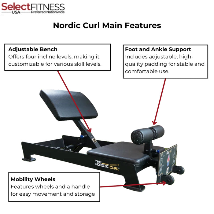 The Abs Company Nordic Curl Main Features