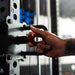 The Walrus Single Tower Low Row Lat Pulldown Back Workout