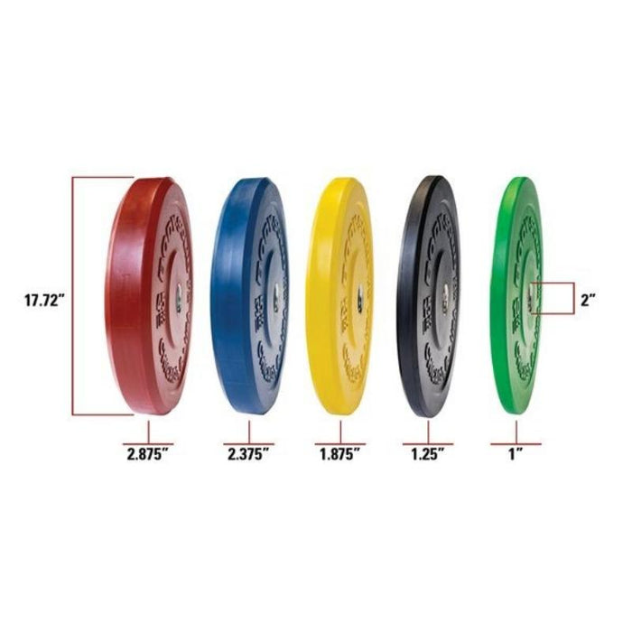 Body-Solid Colored Bumper Plate and Barbell Set