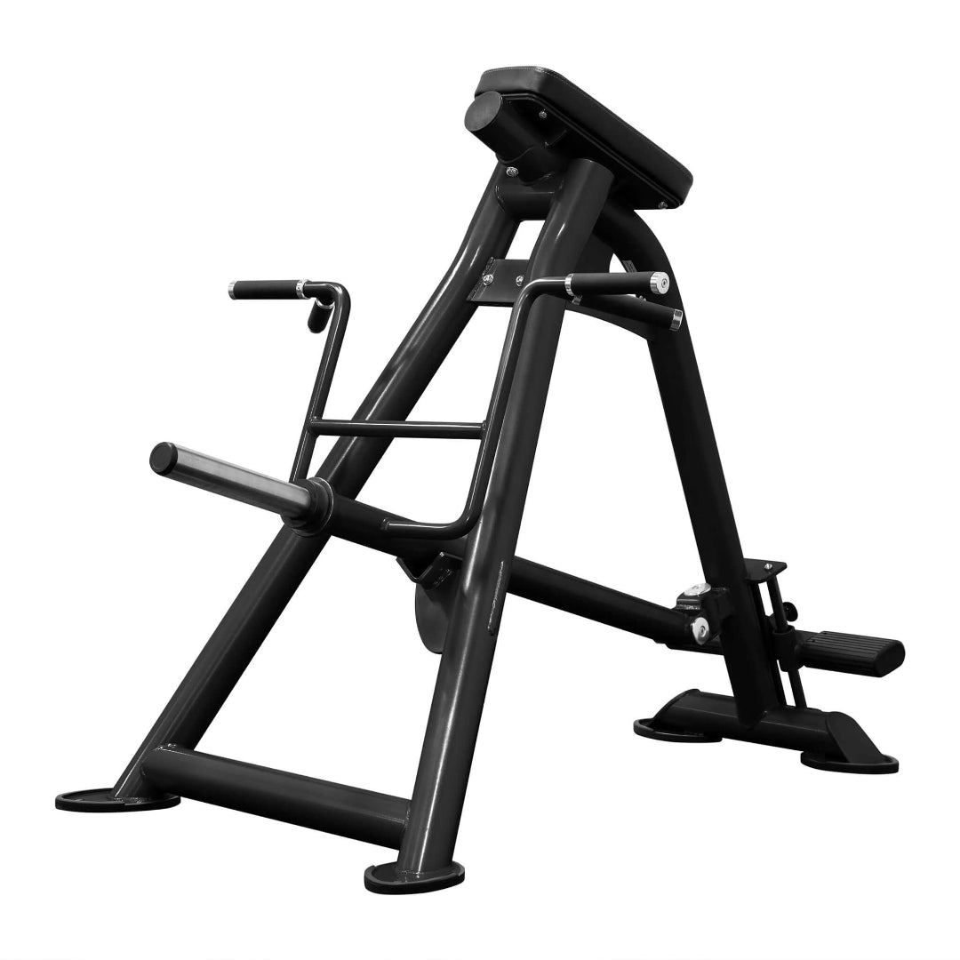Bodykore Standing T-bar Row CF2173 — Select Fitness