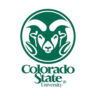 colorado state