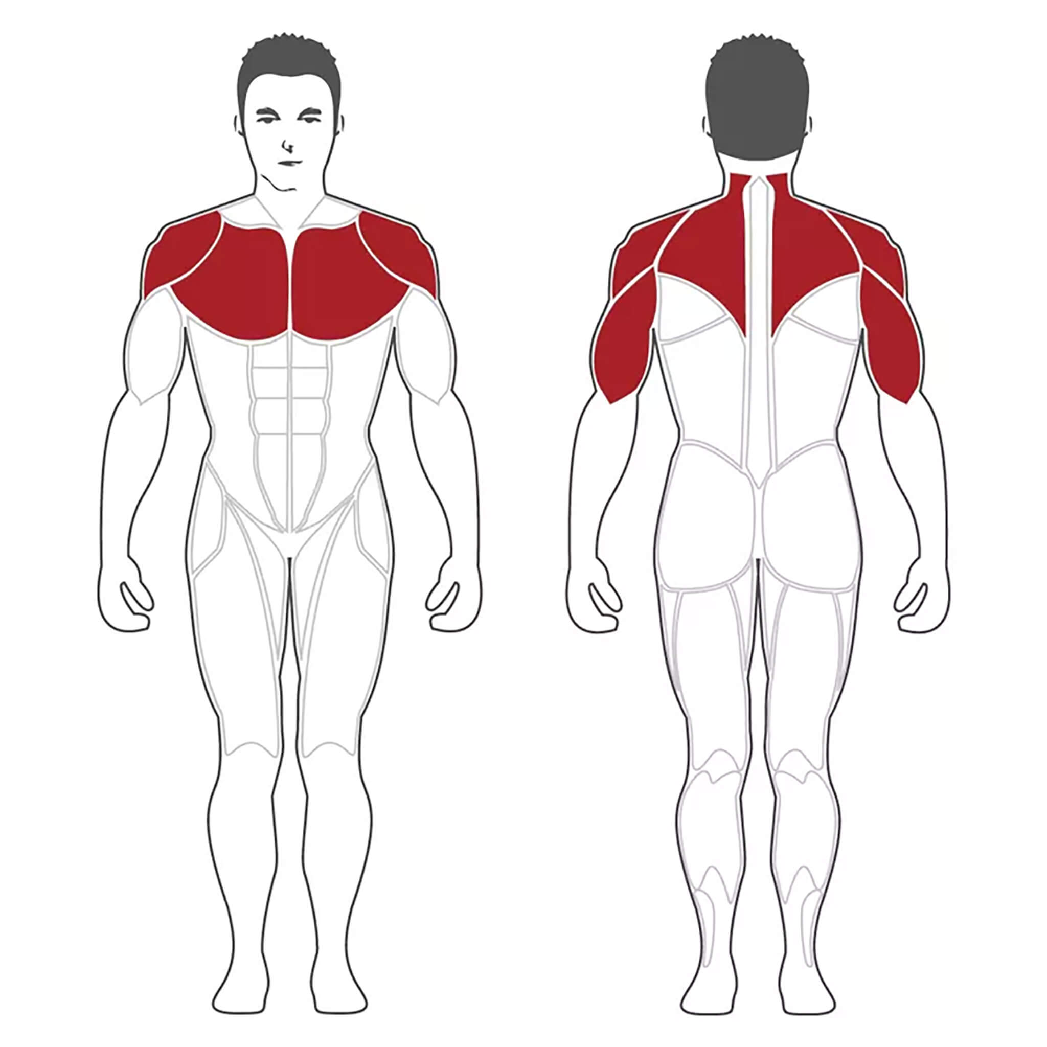 Steelflex PL2100 Chest Shoulder Press Machine — Select Fitness
